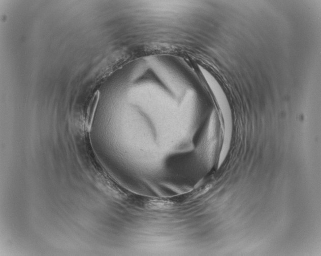 X0000088890617200706291441