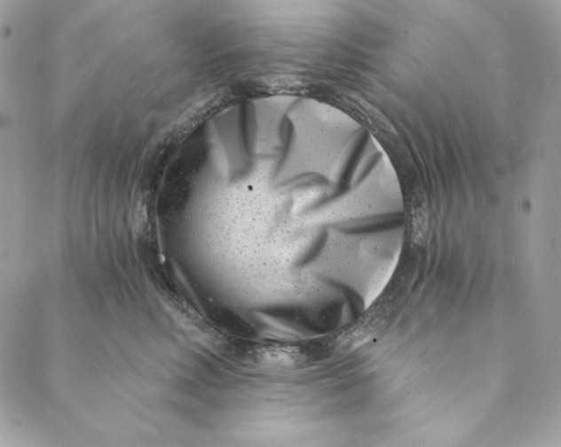 X0000088890618200706291441