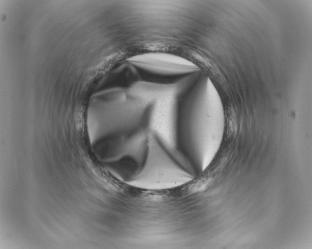 X0000088890620200706291441