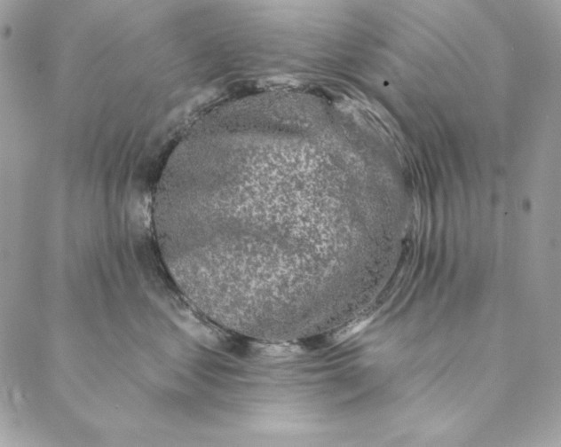 X0000088890621200706291441