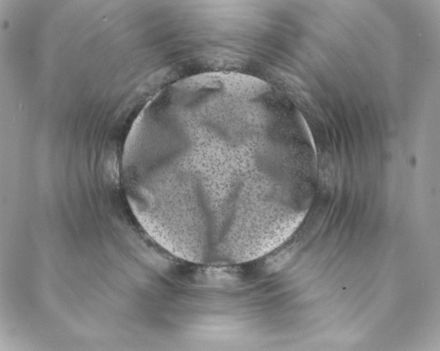 X0000088890622200706291441