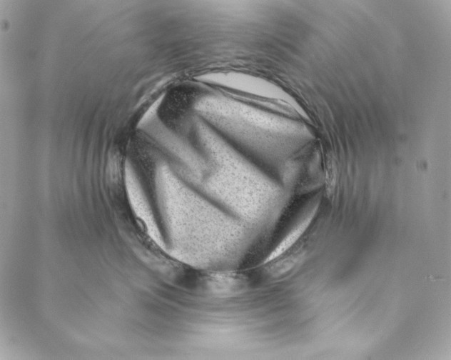 X0000088890623200706291441