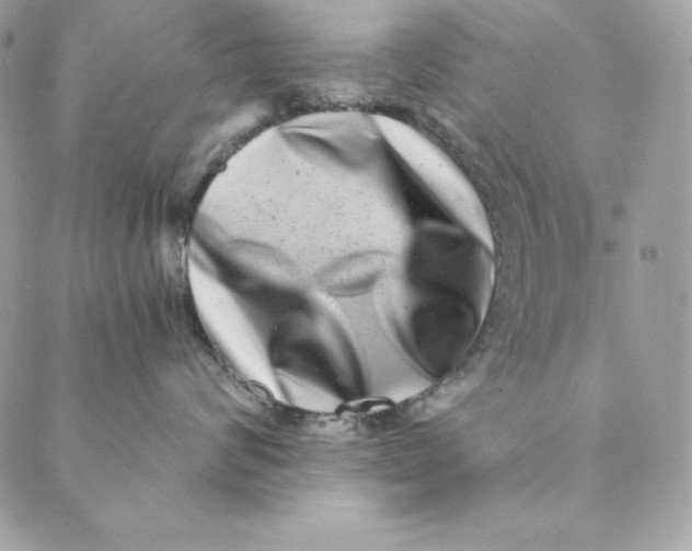 X0000088890624200706291441