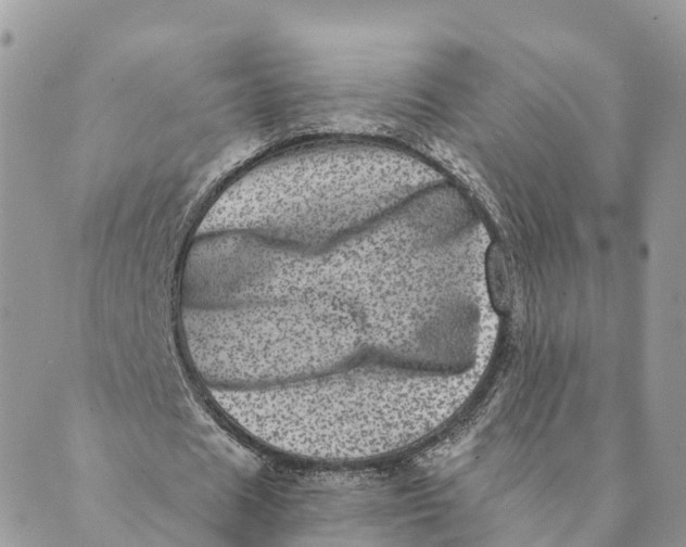 X0000088890625200706291440