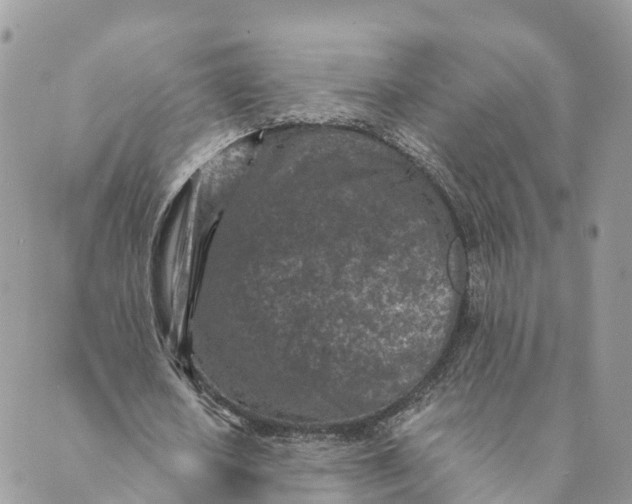 X0000088890626200706291440