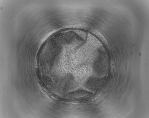 X0000088890628200706291440