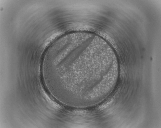 X0000088890629200706291440