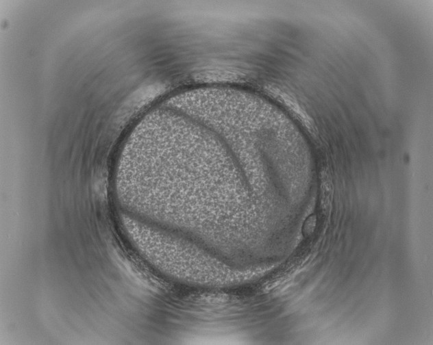 X0000088890631200706291440