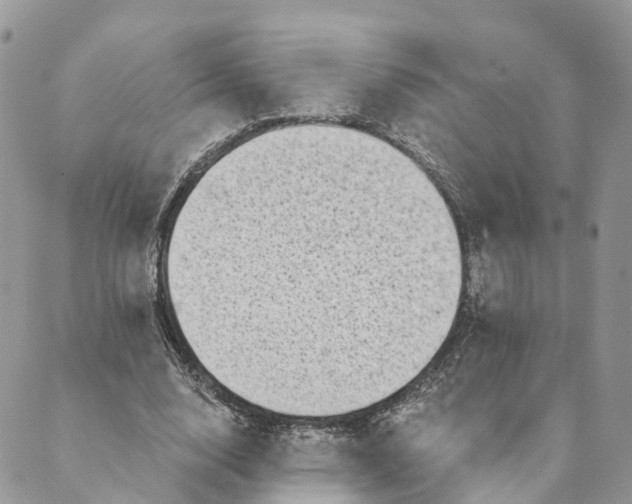 X0000088890632200706291440