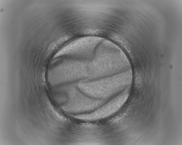 X0000088890633200706291440