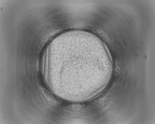 X0000088890636200706291441