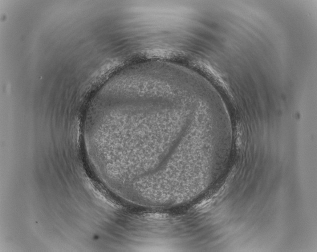 X0000088890637200706291441