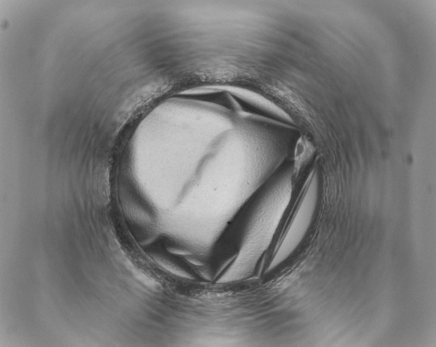 X0000088890638200706291441