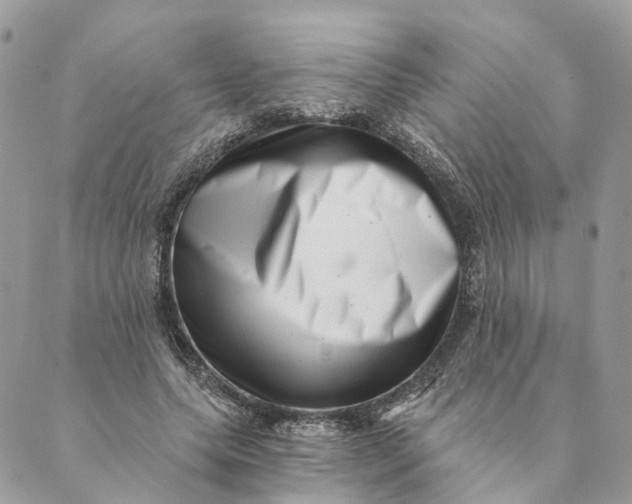 X0000088890639200706291441