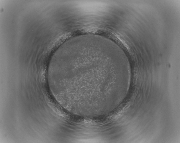 X0000088890641200706291441