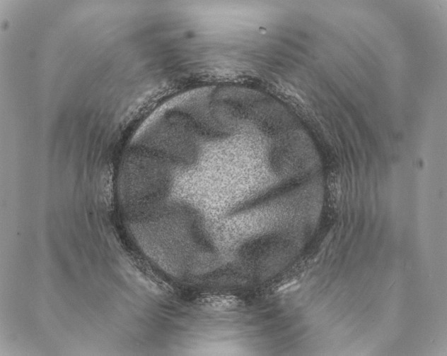 X0000088890642200706291441