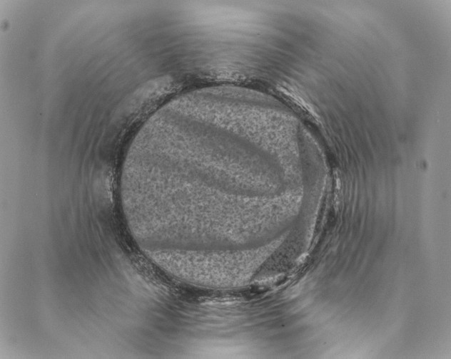 X0000088890643200706291441