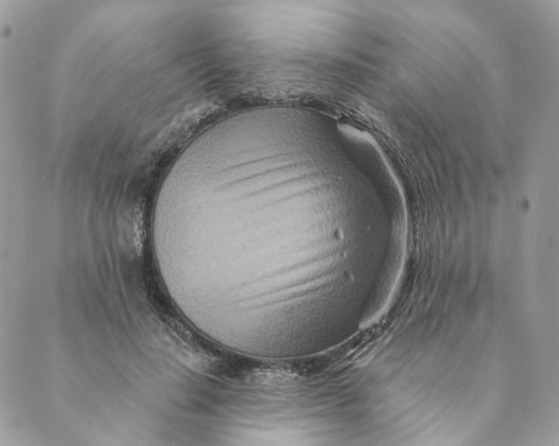 X0000088890644200706291441