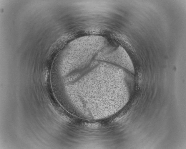 X0000088890645200706291441