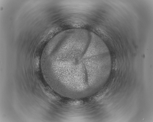 X0000088890646200706291441