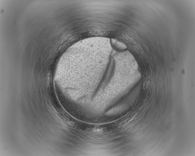 X0000088890647200706291441