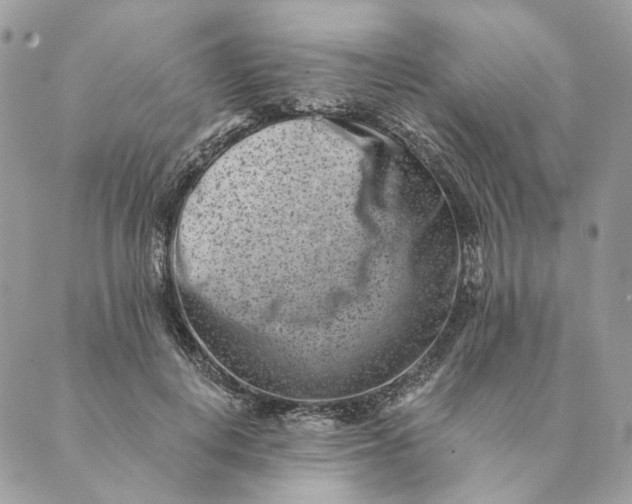 X0000088890648200706291441