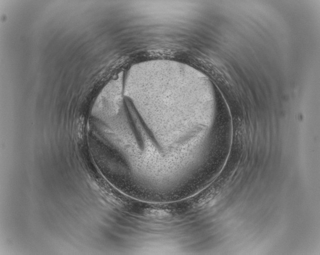 X0000088890649200706291441