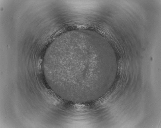 X0000088890650200706291441