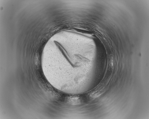 X0000088890651200706291441