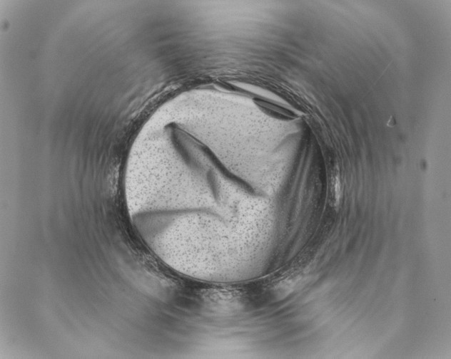 X0000088890652200706291441