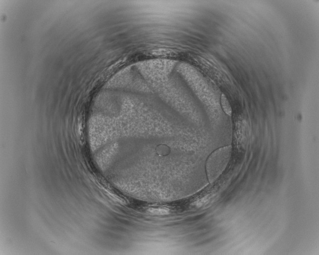 X0000088890653200706291441