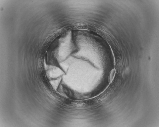 X0000088890654200706291441