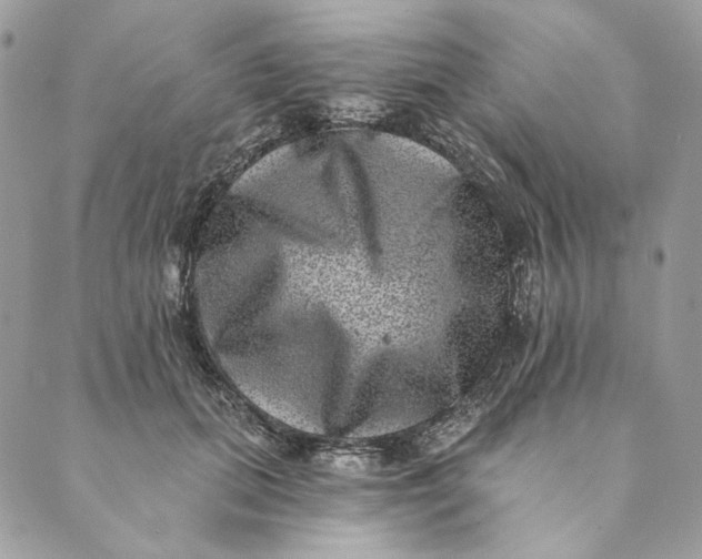 X0000088890655200706291441