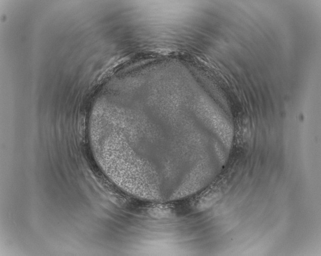 X0000088890656200706291441