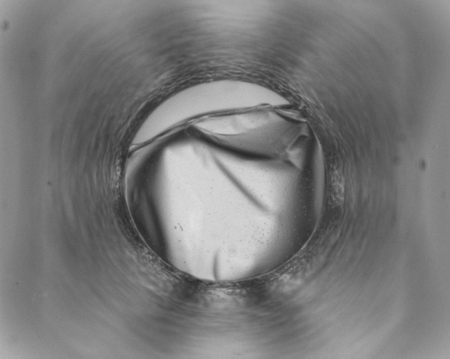 X0000088890657200706291441