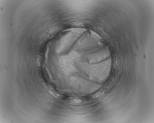 X0000088890658200706291441