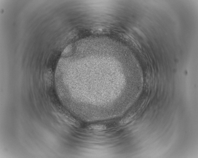 X0000088890659200706291441