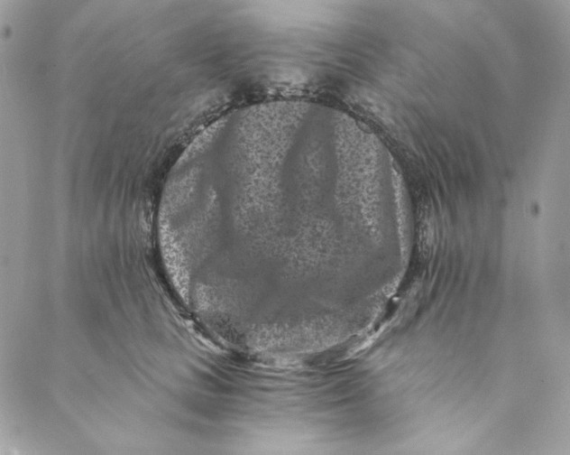 X0000088890661200706291441