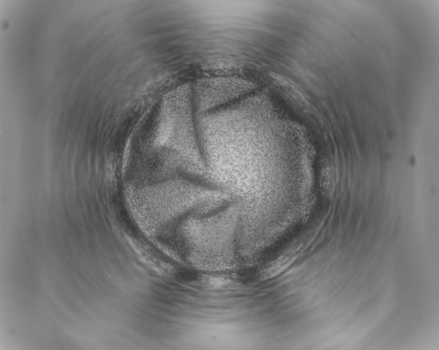 X0000088890662200706291441