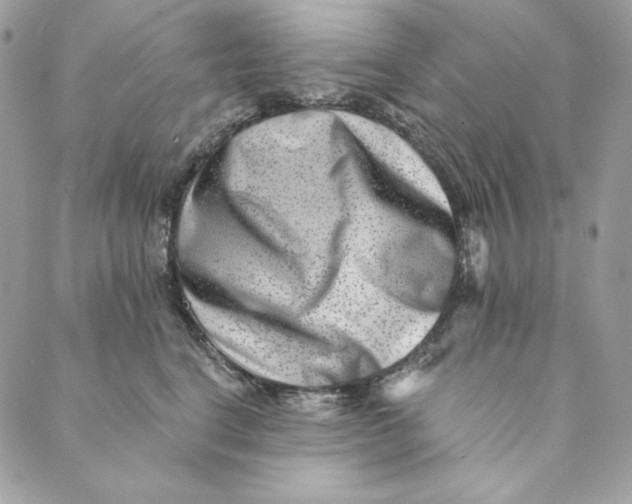 X0000088890664200706291441