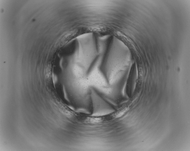 X0000088890665200706291441