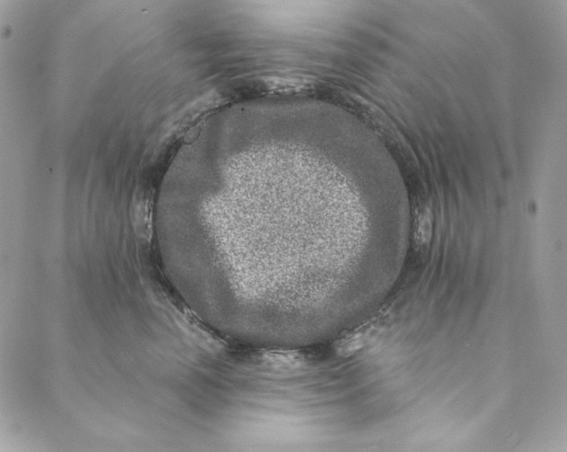 X0000088890666200706291441