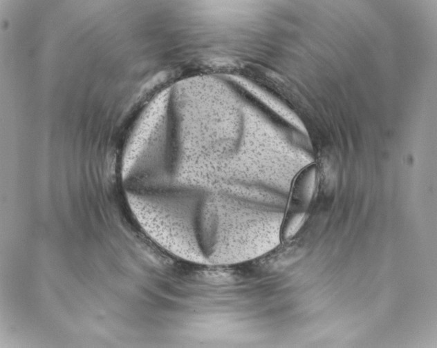 X0000088890668200706291441