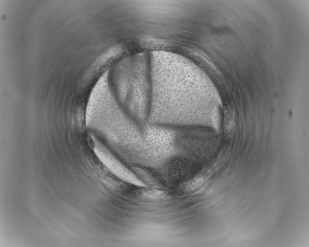 X0000088890669200706291441