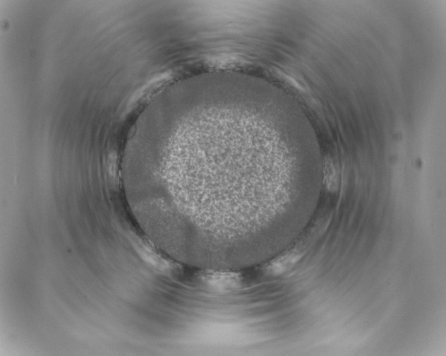 X0000088890670200706291441