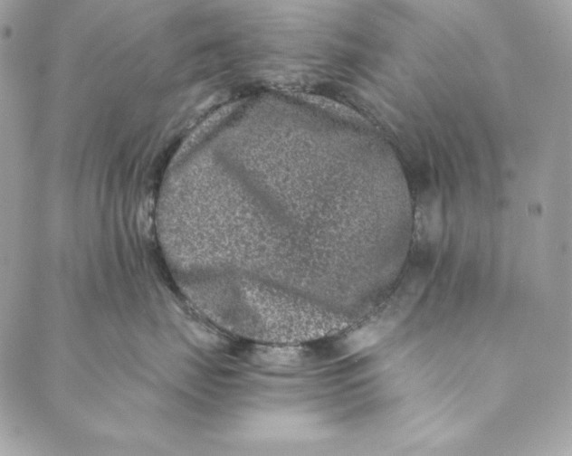 X0000088890671200706291441