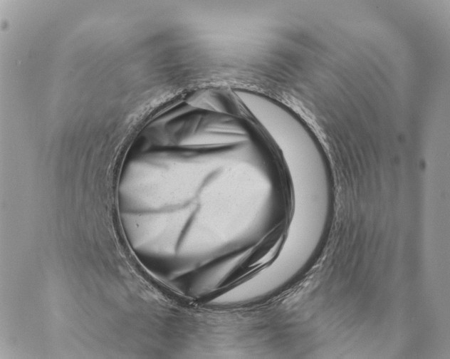 X0000088890673200706291440