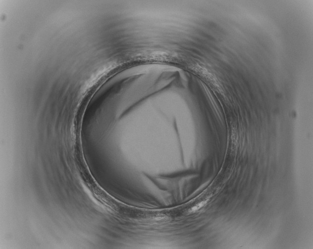 X0000088890674200706291440