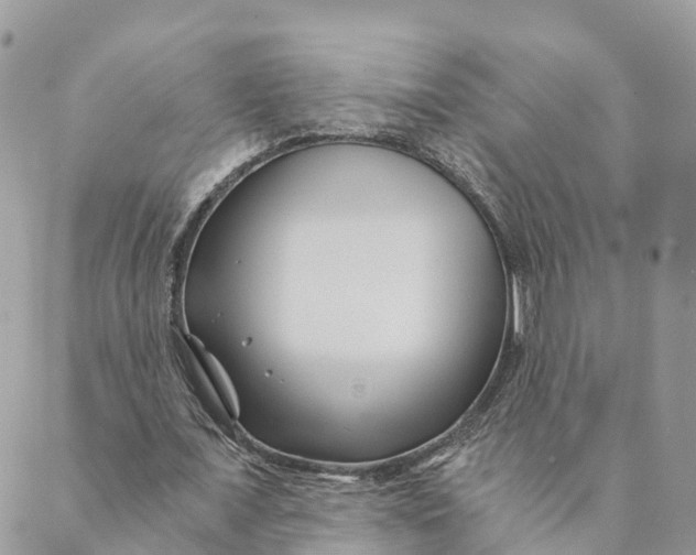 X0000088890675200706291440