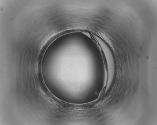 X0000088890676200706291440